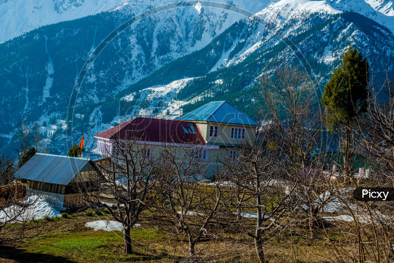 Landscape of wooden houses alongside snowy himalayas at Jibhi himachal 