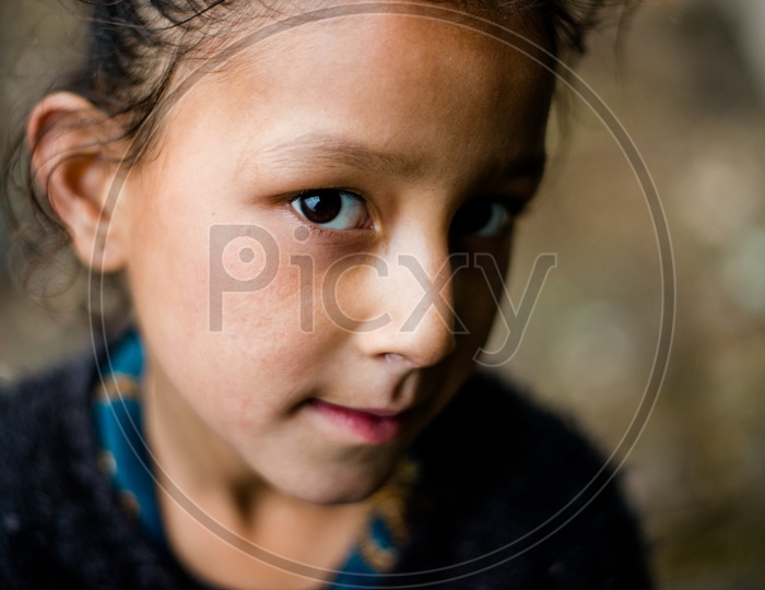 Closeup Shot of Himalayan kid in mountain, sainj valley