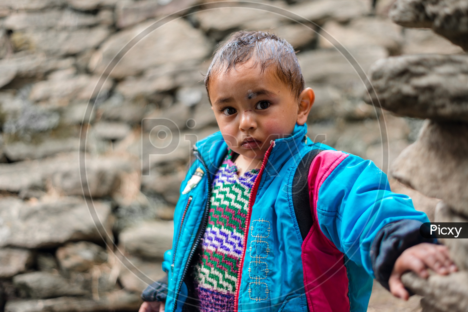Portrait of Indian Kid or Boy in Winter Jerkin or Jacket