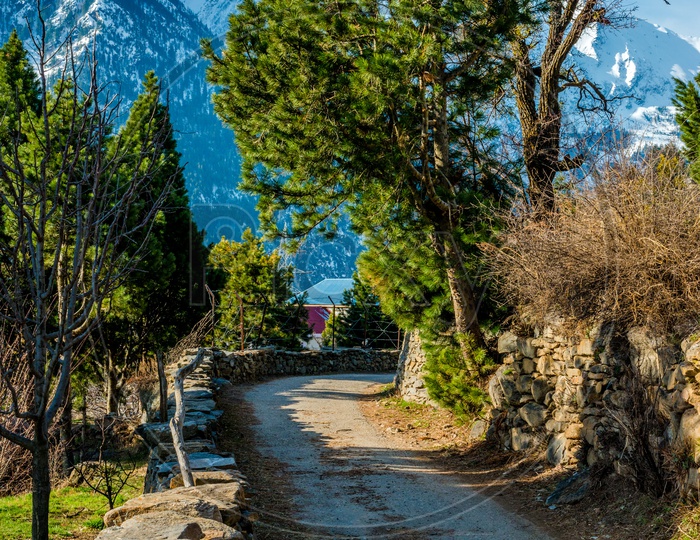 Mountain Road soaking in the sunshine
