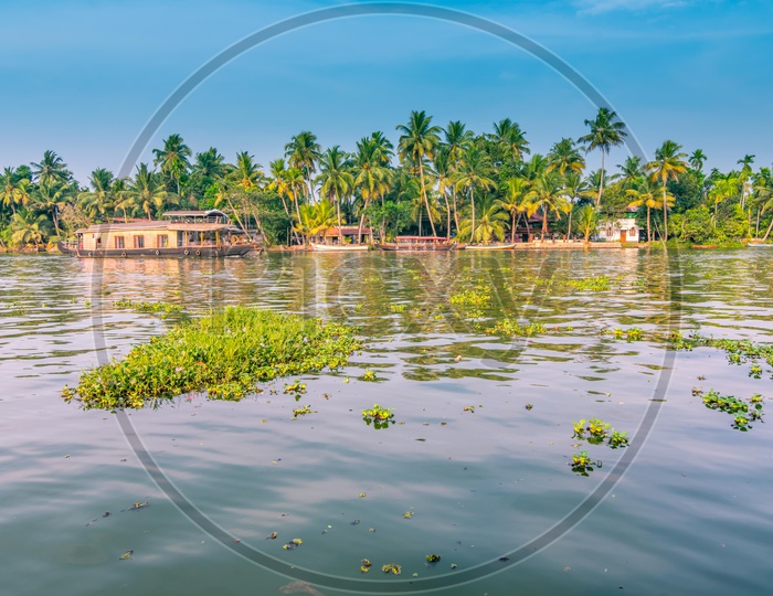 A scenery of Kerela backwaters