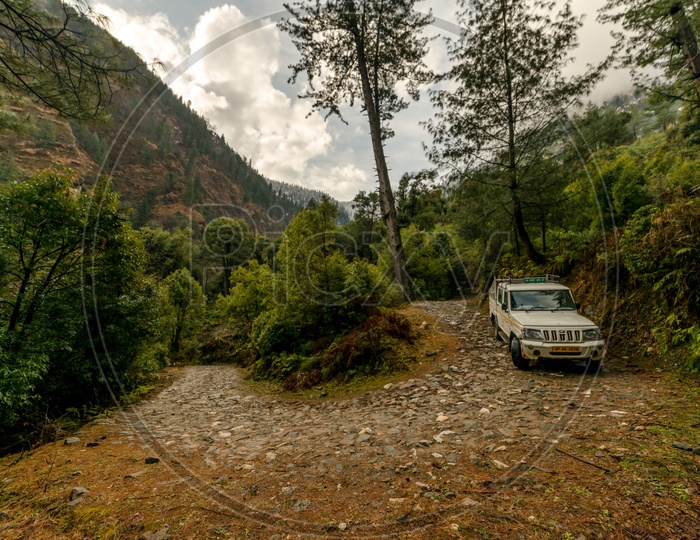 Vehicle on High altitude road in Himalayas surrounded by deodar tree