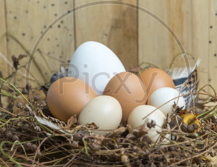 Easter eggs on wooden background Forming a Template For Easter Festival