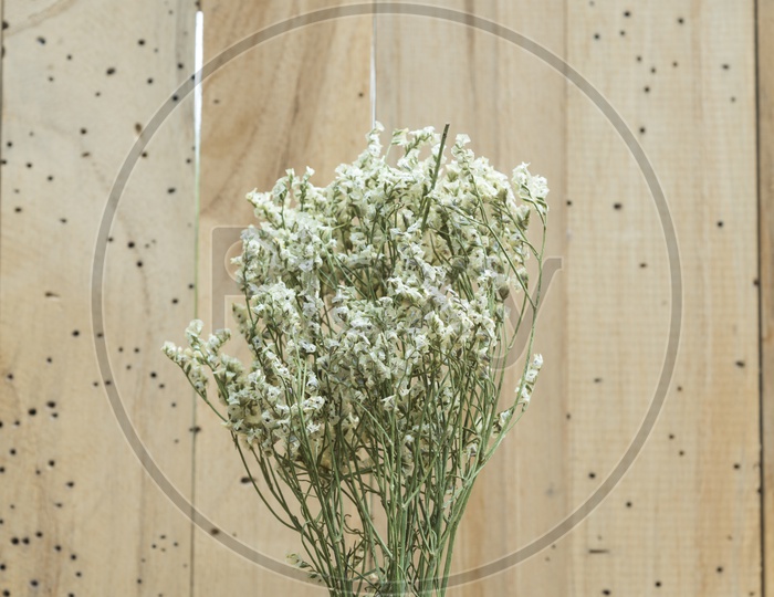 flower with wooden background