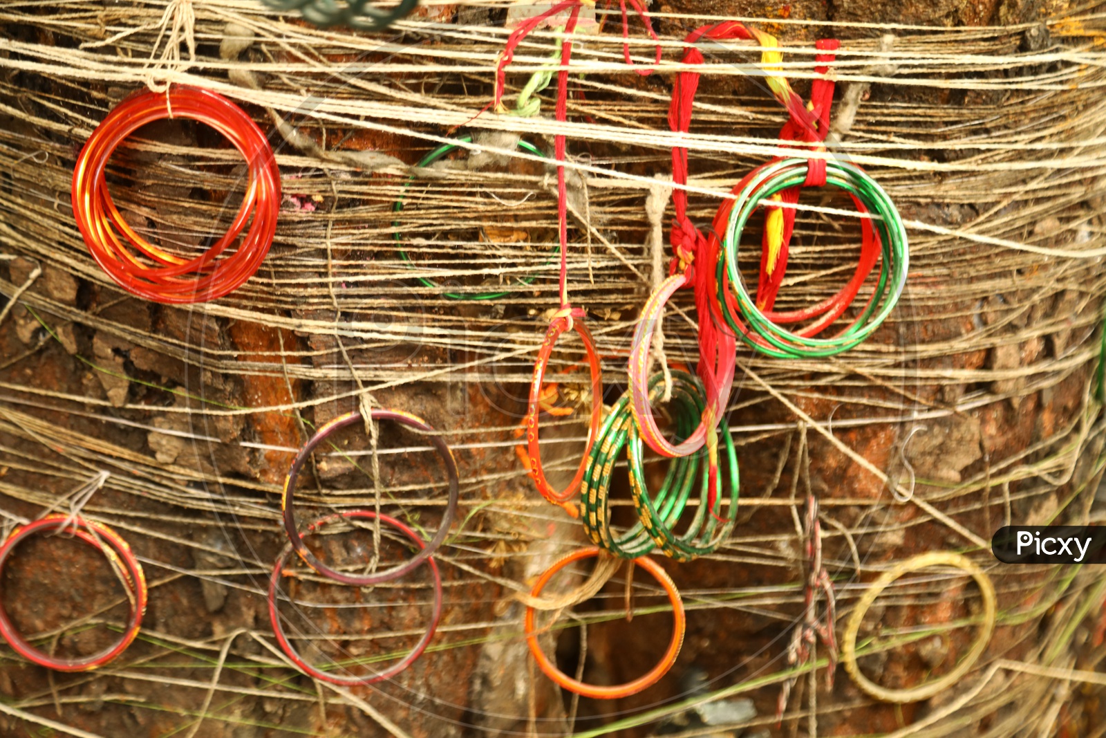 Sacred Bangles tied to a tree in temple