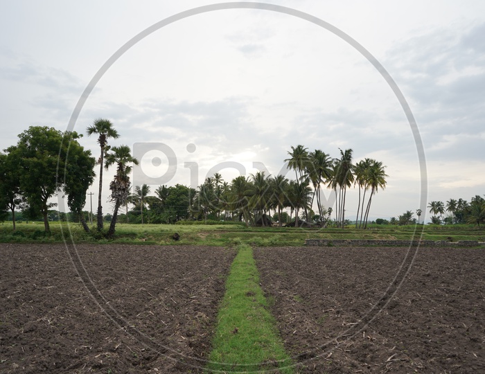 Symmetrical line of farming land