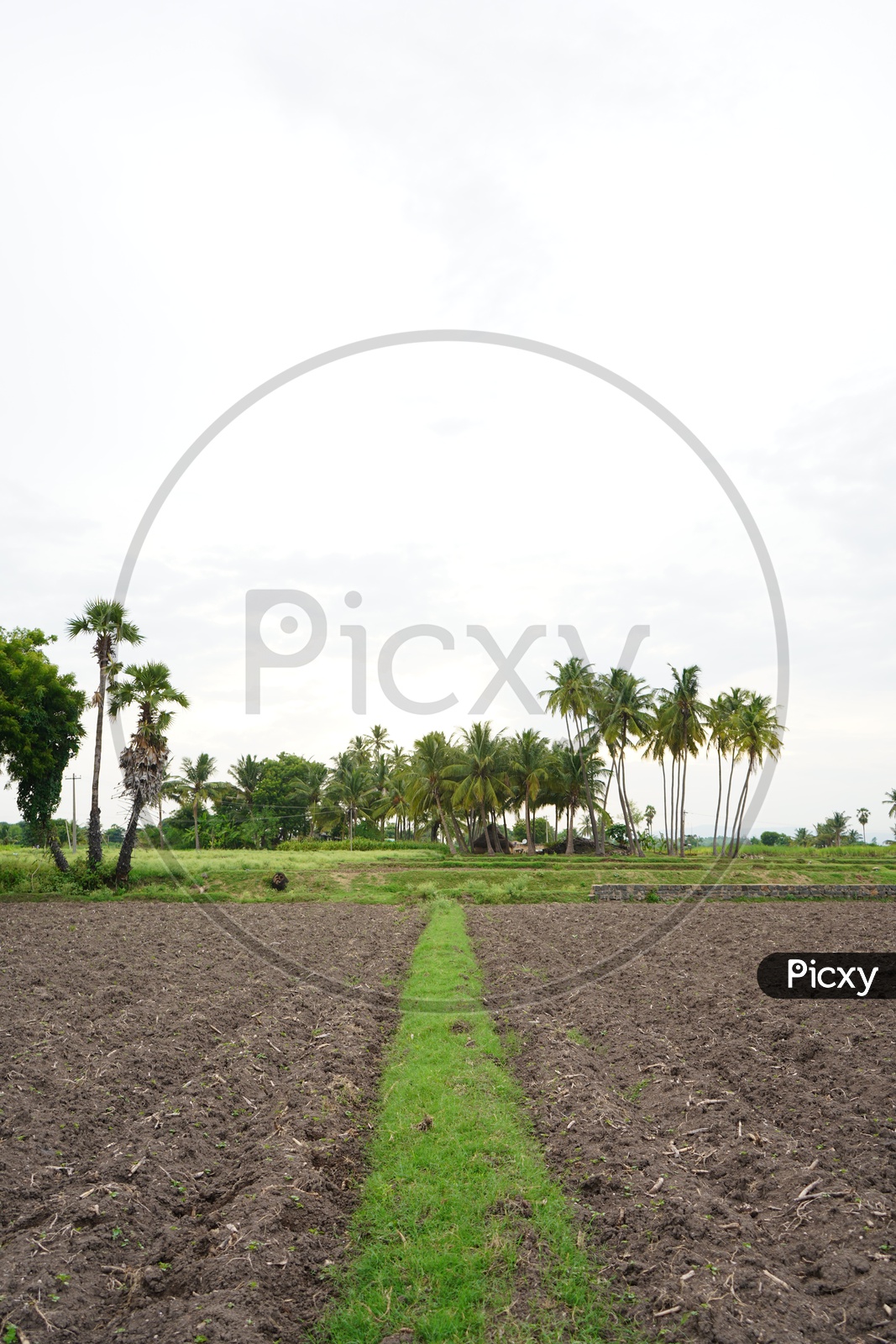 Symmetrical line of farming land