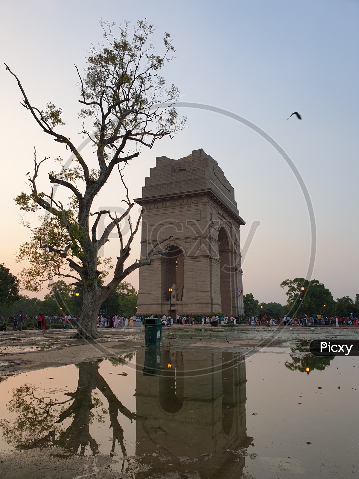 Shadow of India Gate- The Reflections