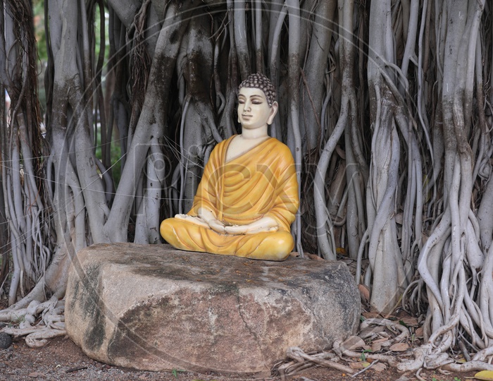 Gautham Buddha Statue Under a Banyan Tree