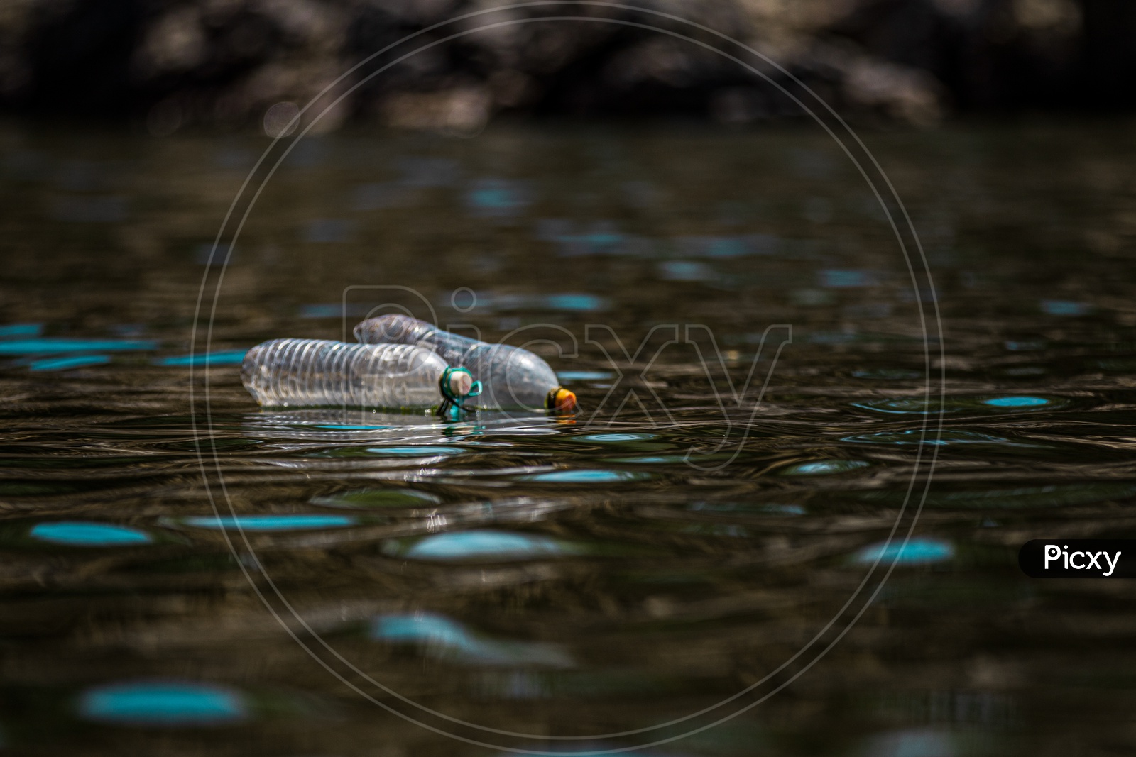 Plastic bottles floating on the surface of water