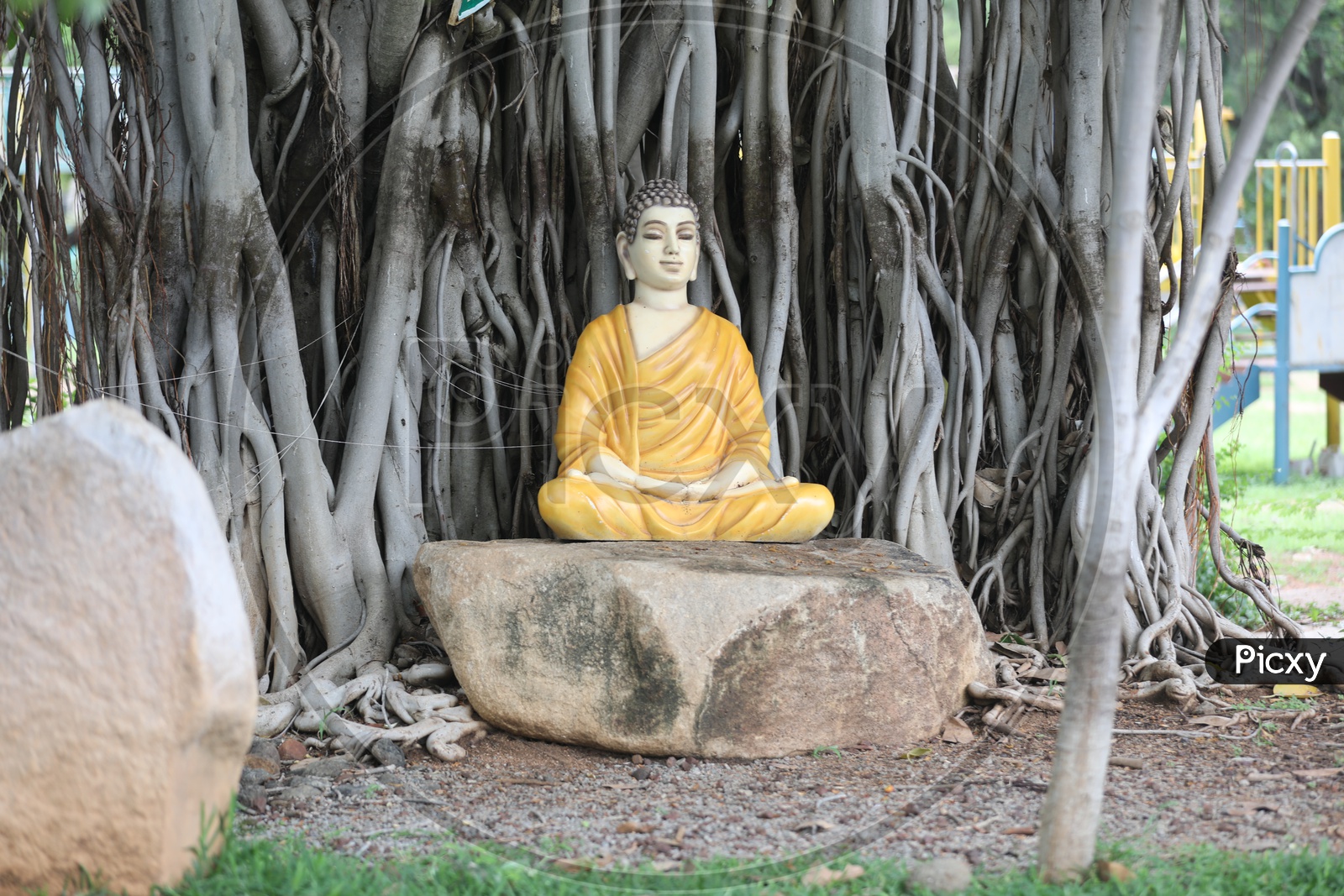 Gautham Buddha Statue Under a Banyan Tree in a Park