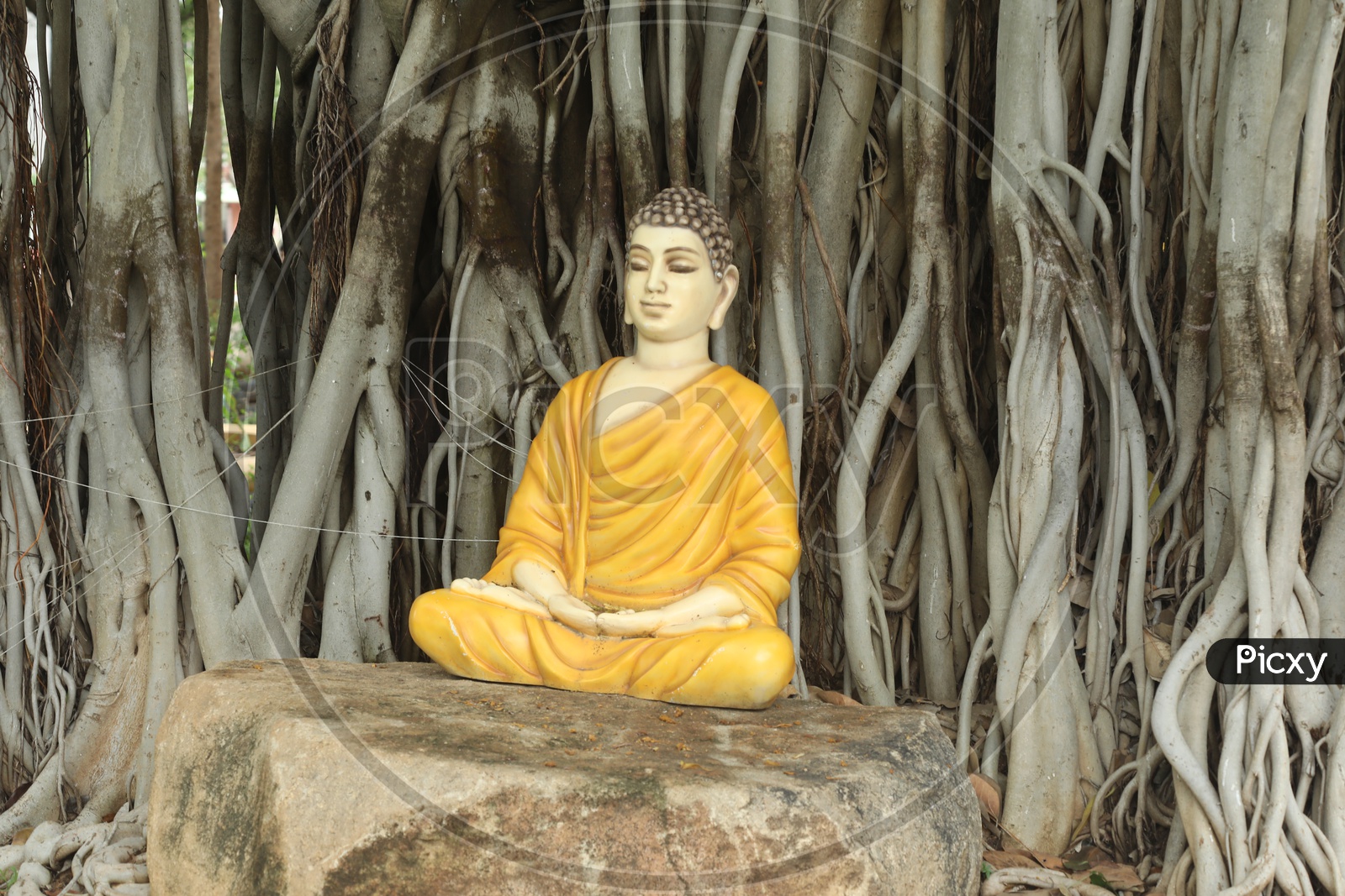 Buddha Statue In Meditation Under Banyan Tree in a Park