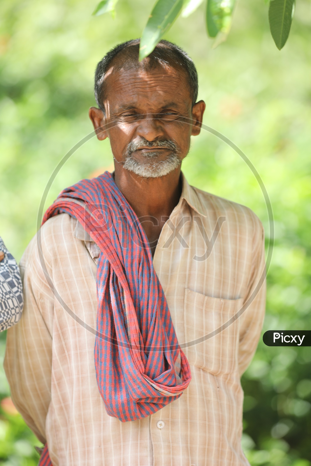 Indian Old Man In Rural Village