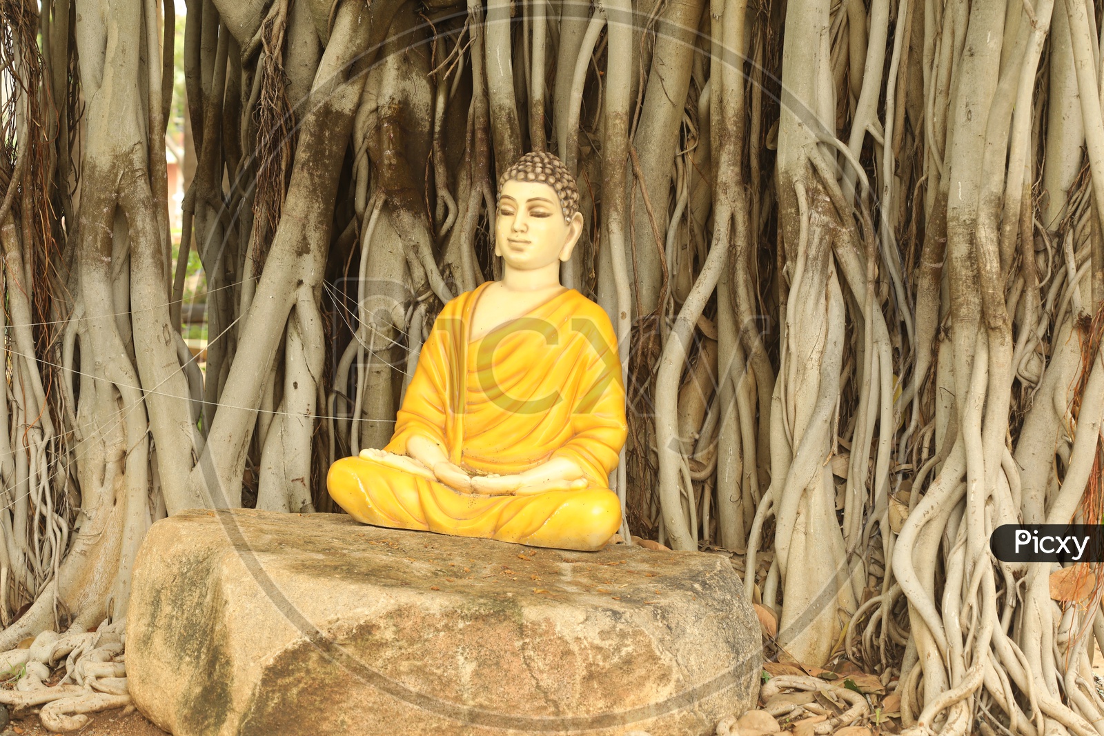 Buddha Statue In Meditation Under Banyan Tree in a Park