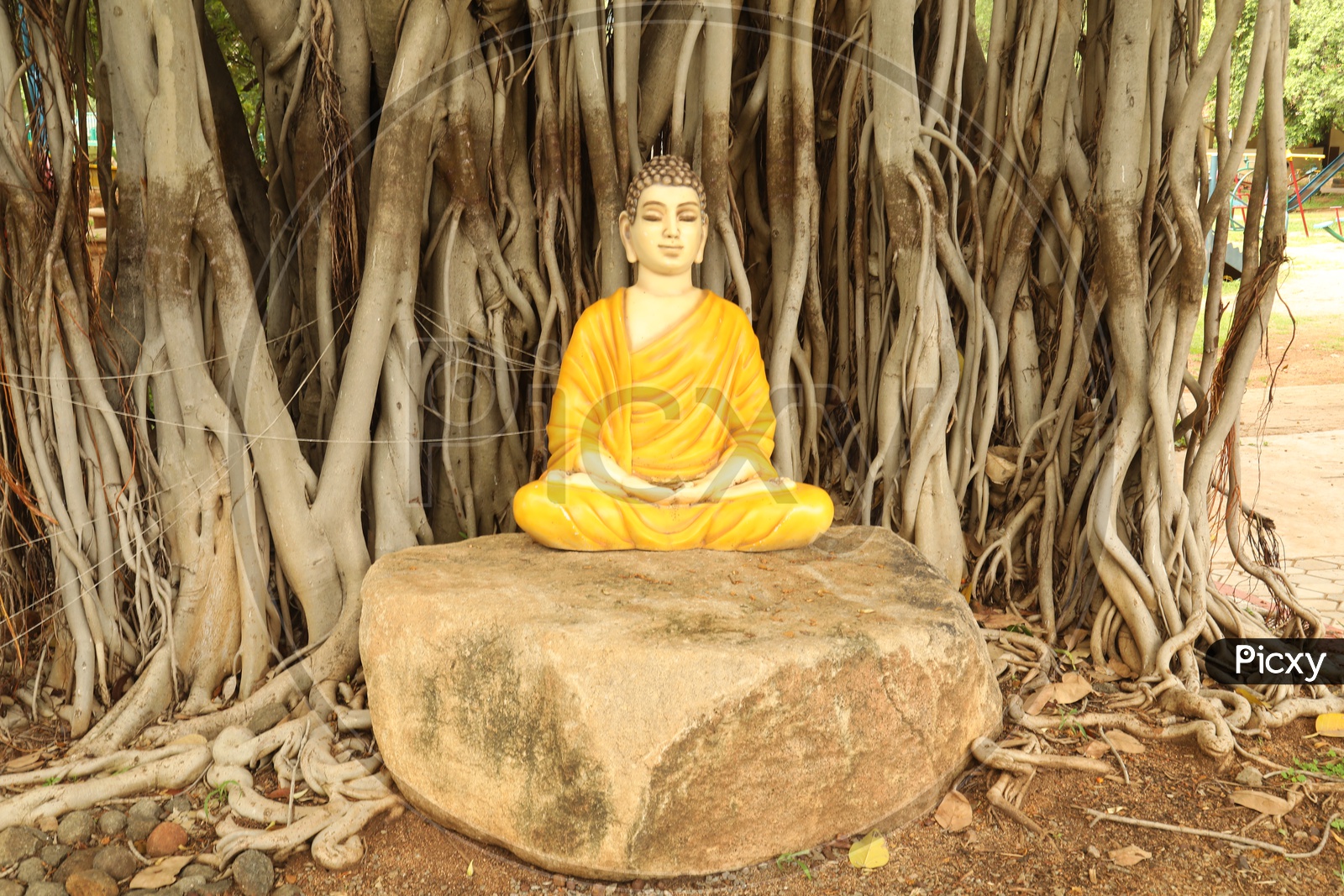 Gautham Buddha Statue In Meditation Pose Under banyan Tree
