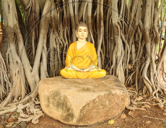Gautham Buddha Statue In Meditation Pose Under banyan Tree