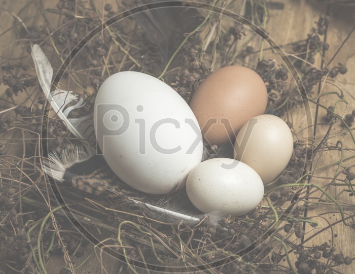 Easter Eggs On Wooden Background Forming A Template For Easter Festival