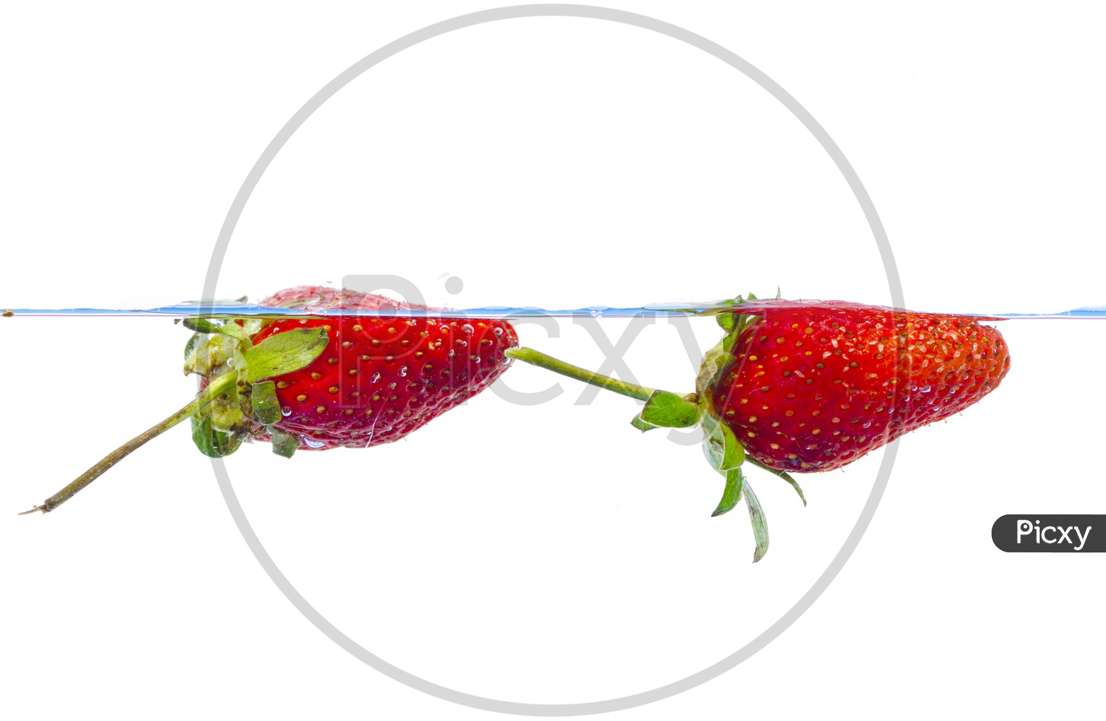 fresh strawberry dropped into water with splash on white background