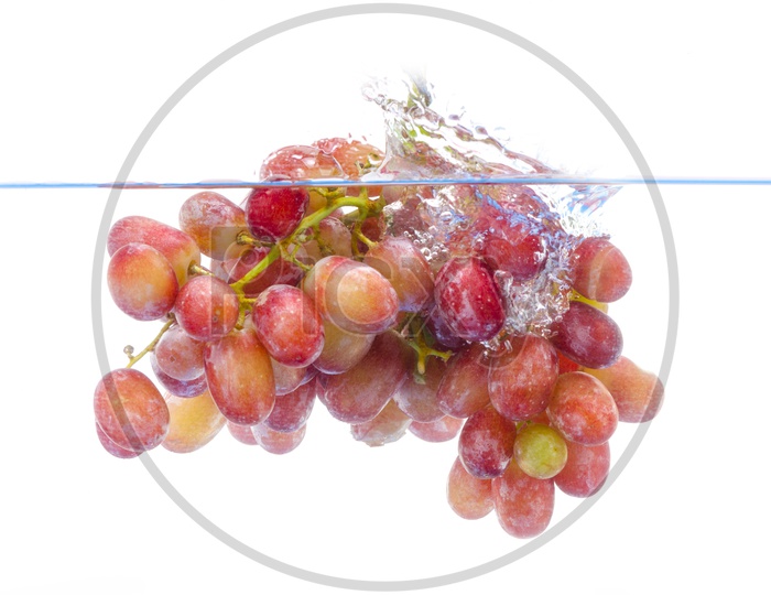 Fresh Red Grapes Dropped Into Water With Splash  Over an Isolated White Background
