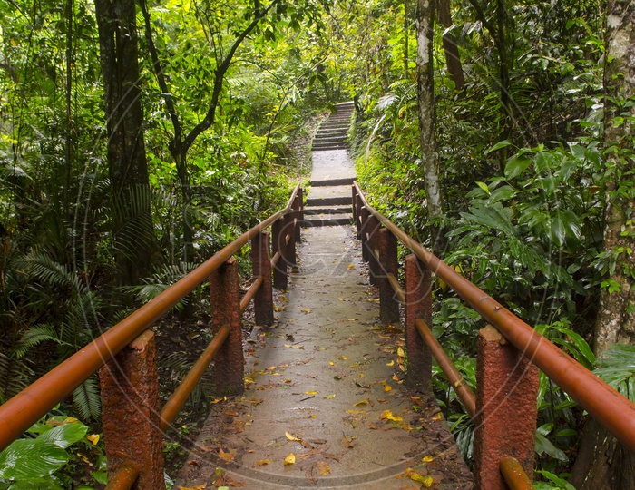 A Bridgeway over the waterfall in  Thai Forest
