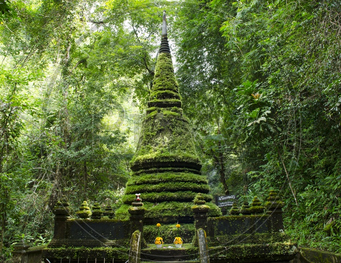 View of Old pagoda and moss at Phlio waterfall national park in Thailand