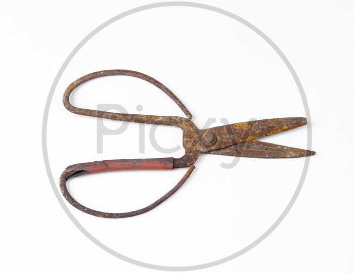 Vintage rustic Scissors