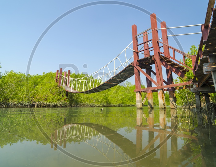A View Of Wooden Bridge Over Krabi River Leading To Mangrove Forest