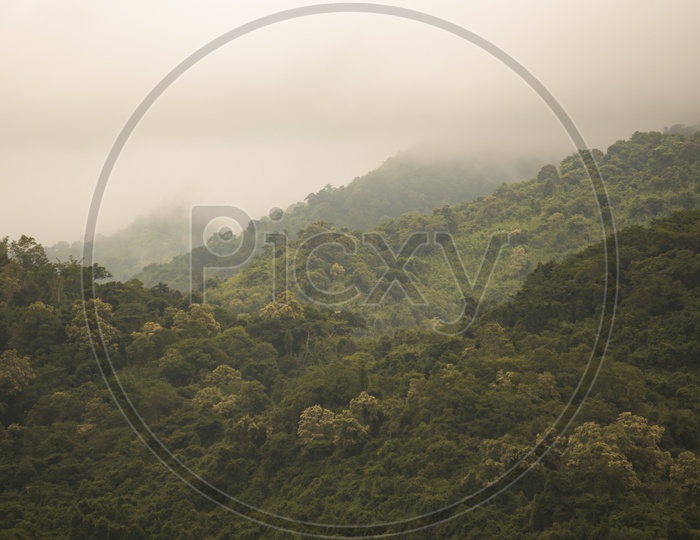 A Moody scenery of Tropical Rain Forest of Thailand
