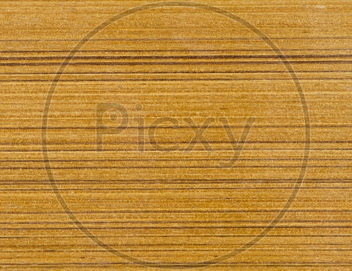 abstract texture of wood background closeup, brown color