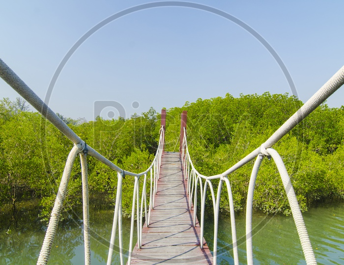 Wooden Bridge Leading To Mangrove Forest Over Krabi River