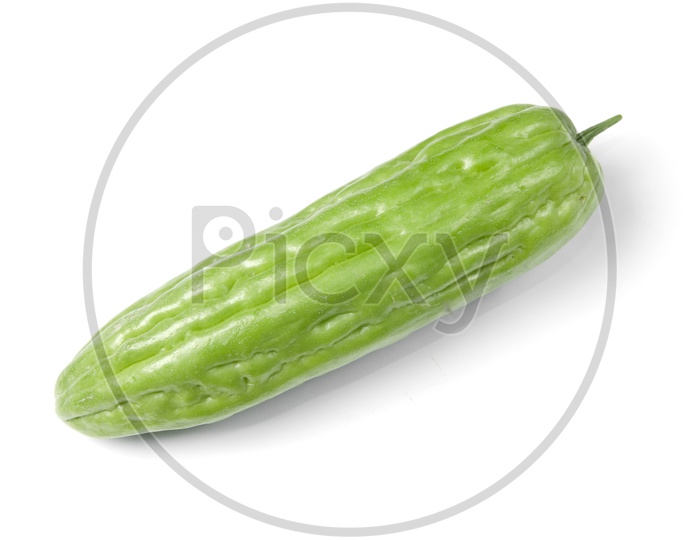 Close up of Zucchini Vegetable