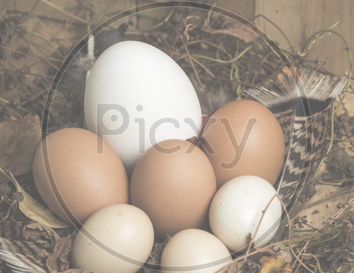 Easter Eggs On Wooden Background Forming A Template For Easter Festival