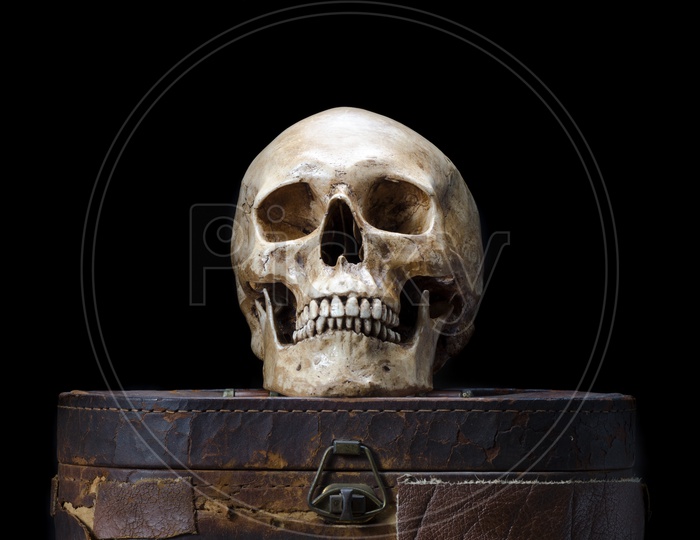 Still life with human skull placed in the old leather box isolated on black background