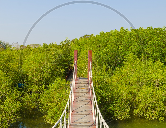 View of Suspension bridge in Bali mangrove forest