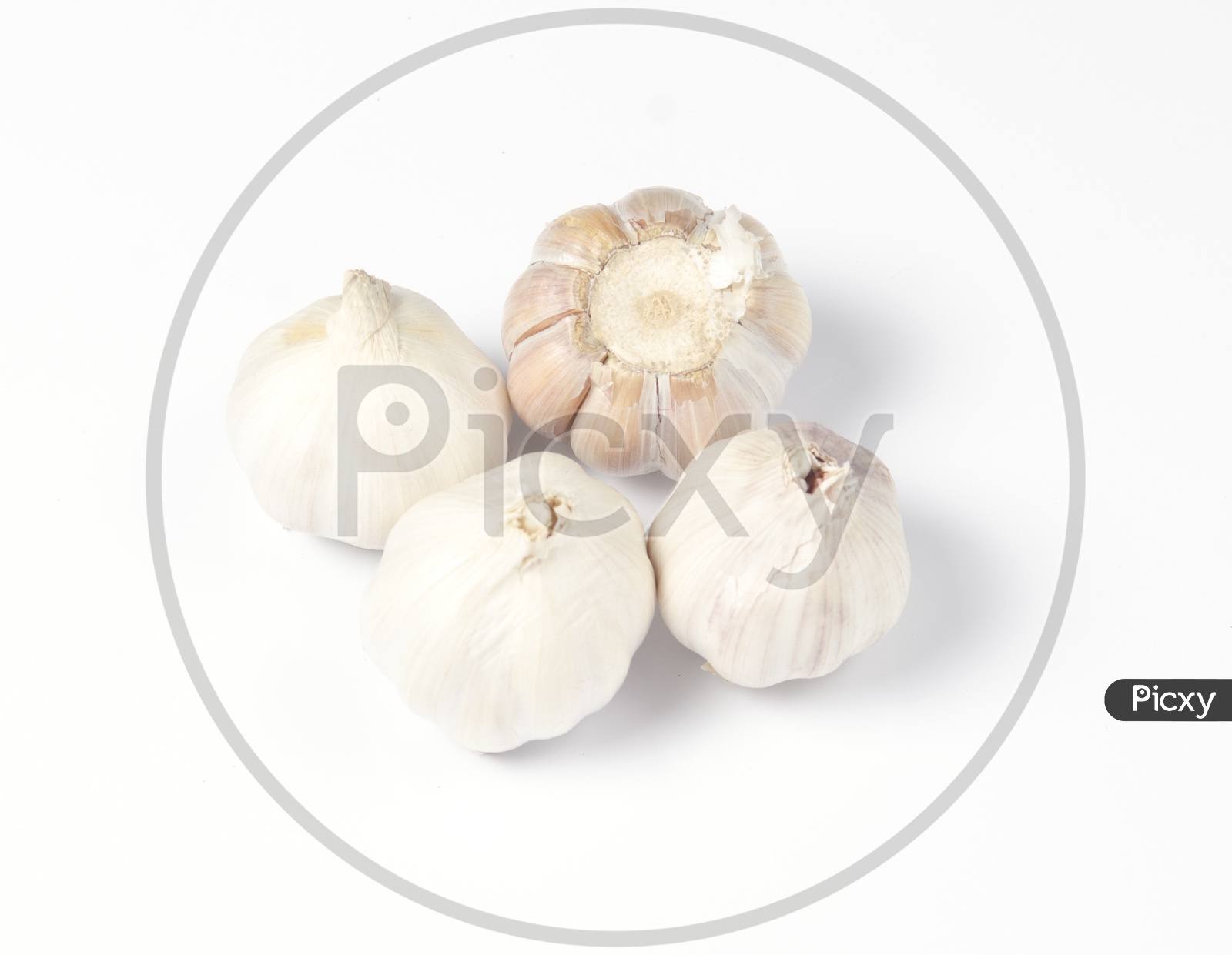 Garlic head detail isolated on white background