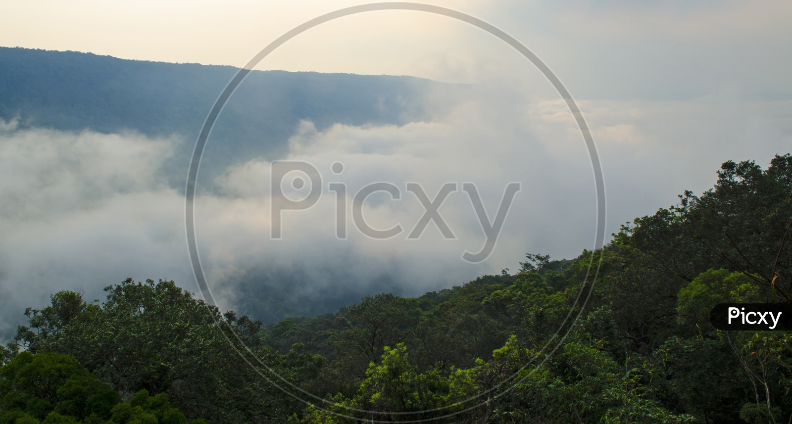 Panorama View of Pha Deaw Dai Cliffs of The Khao Yai National Park in Thailand