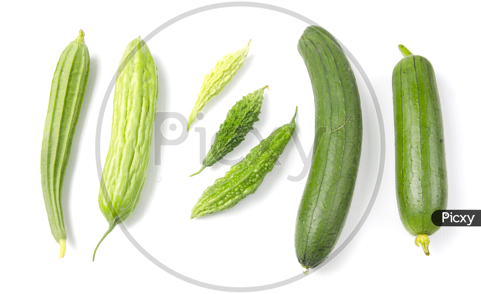 Set of different vegetables.