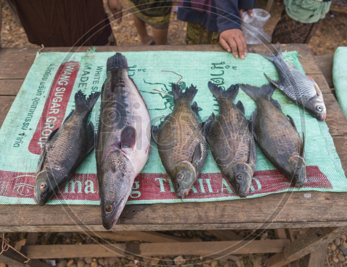 Various fresh fish for Luang Prabang Morning Market, Laos