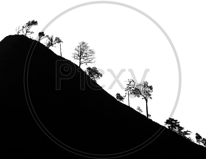 silhouette panorama of mountain and tree