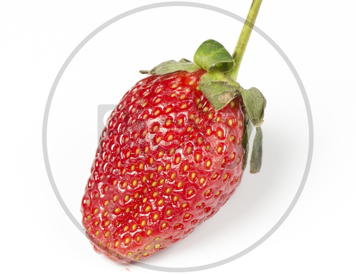 Delicious Strawberry isolated on white background