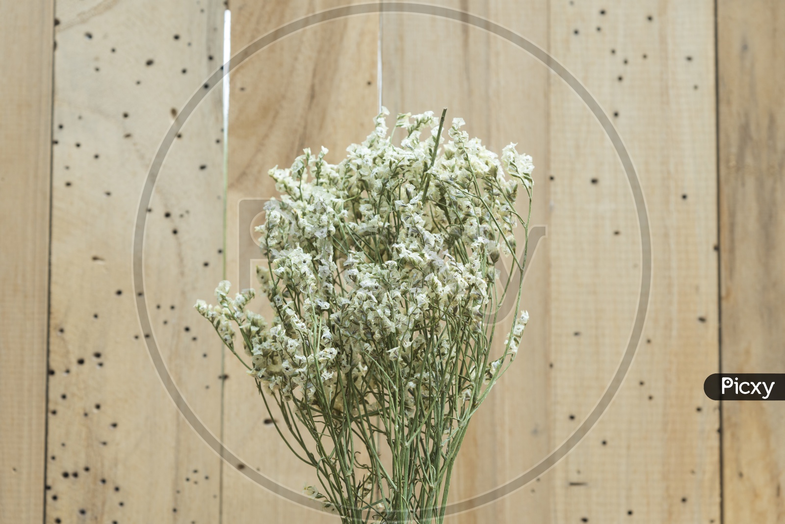 Flowers on Wooden Background