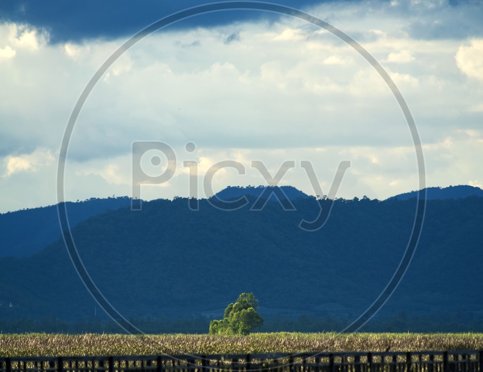 Farm Fields And Mountains With Blue Sky At  Sam Roi Yod National Park, Prachuap Khiri Khan, Thailand