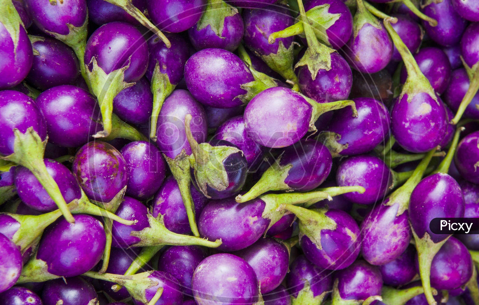 Stack of Brinjal in a Vegetable stall in Thailand
