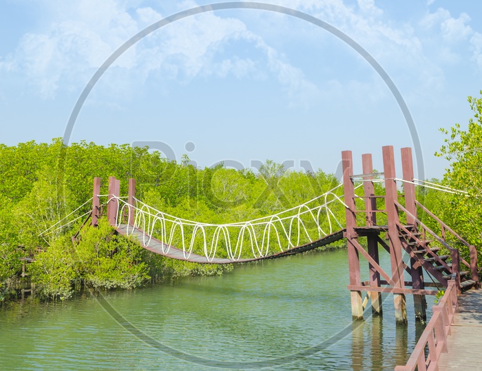 A Bali long Suspension bridge in mangrove forest