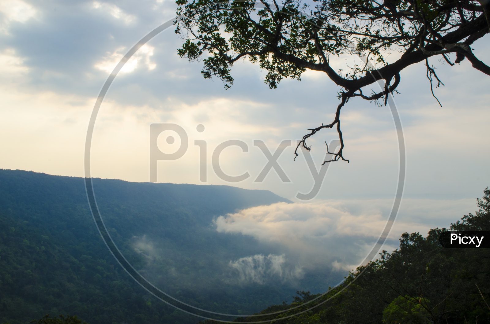 Panorama View of Pha Deaw Dai Cliffs of The Khao Yai National Park, Thailand