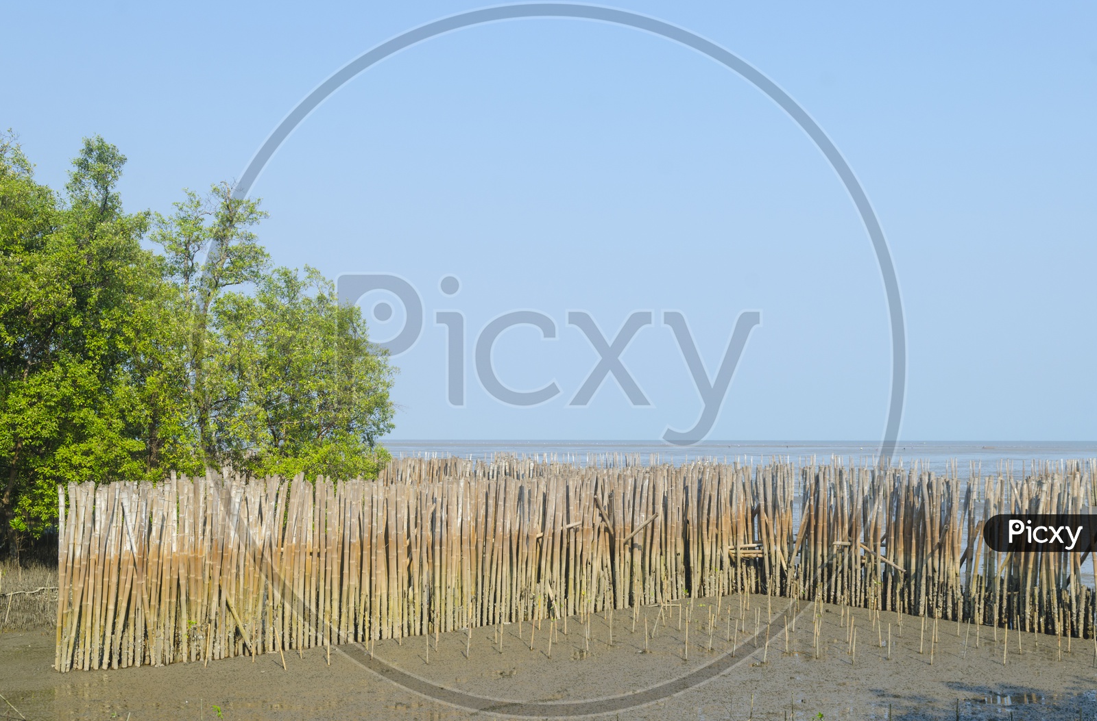 Bamboo Fence to Protect Sandbank from Sea Wave, Thailand