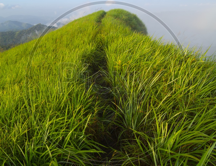 A Mountain top with grass in Thailand