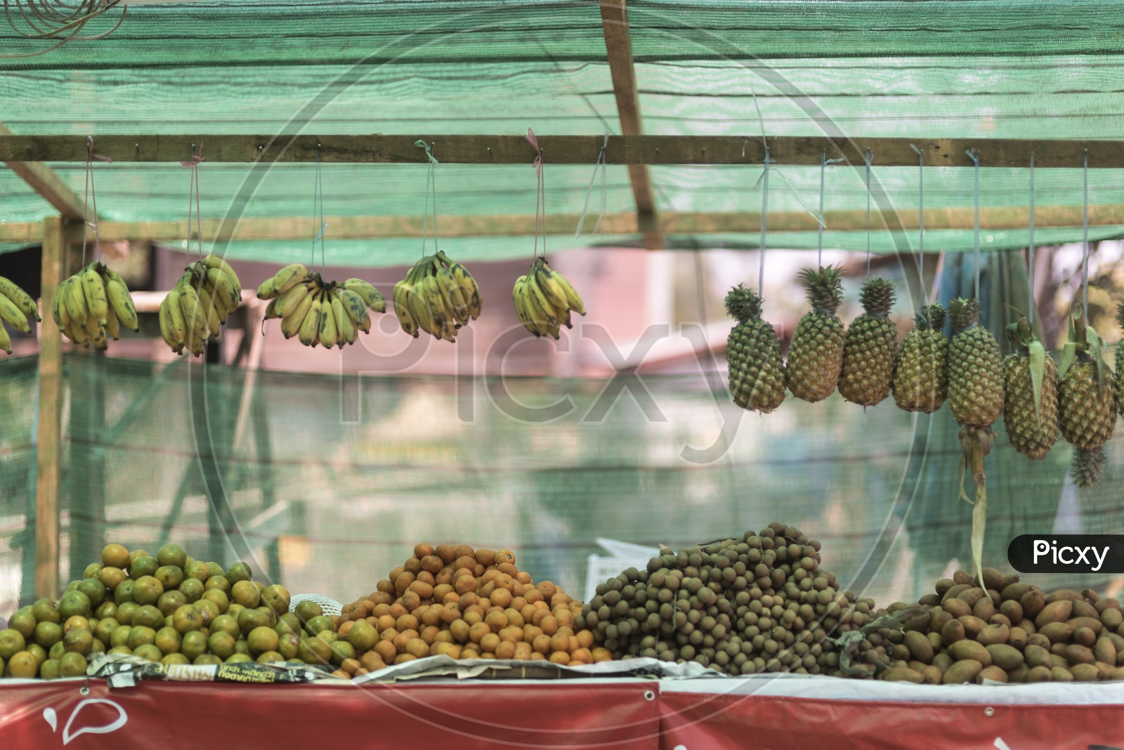 Fruit stalls in Luang Prabang Morning Market, Laos