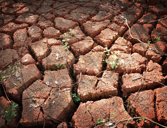 Dry cracked Thailand soil