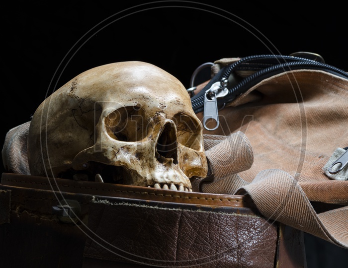 Human skull placed in the old leather box isolated on black background